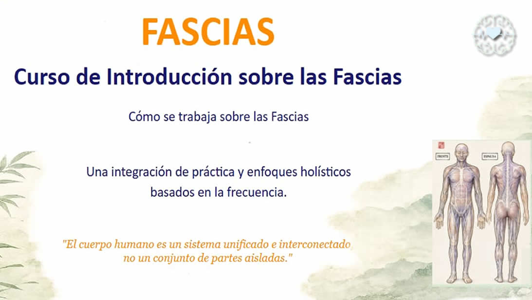 Curso profesional de Fascias y movimiento consciente