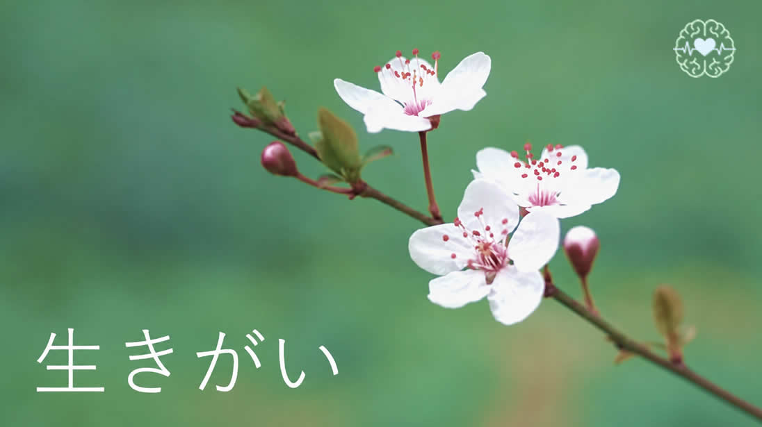 Curso online de IKIGAI aplicado al trabajo